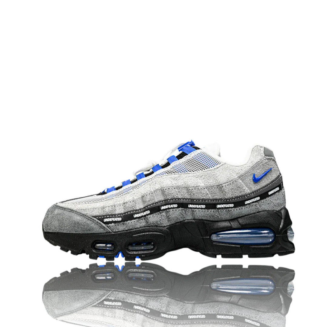 AM95 SP x Undefeated Geo 'Birmingham Concord'