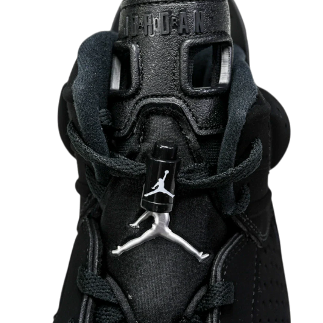 AJ6 Retro 'Chrome'