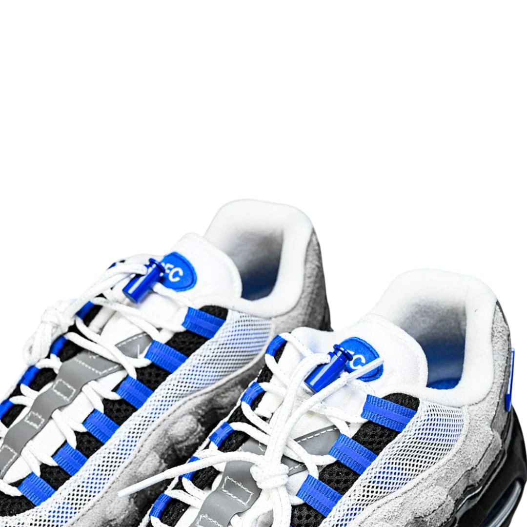 AM95 SP x Undefeated Geo 'Birmingham Concord'