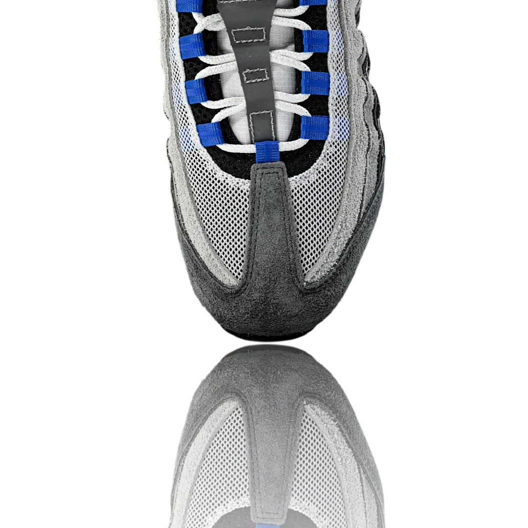 AM95 SP x Undefeated Geo 'Birmingham Concord'