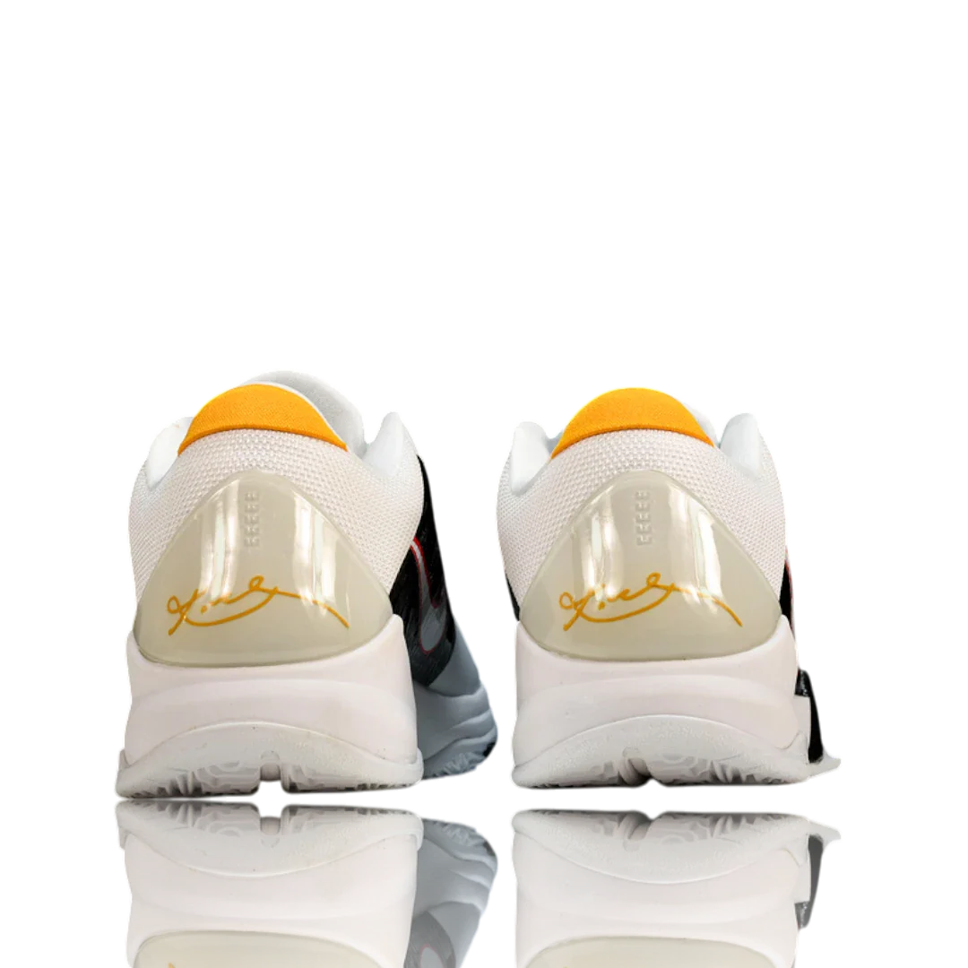 Kobe 5 Protro Bruce Lee 'Alternate'