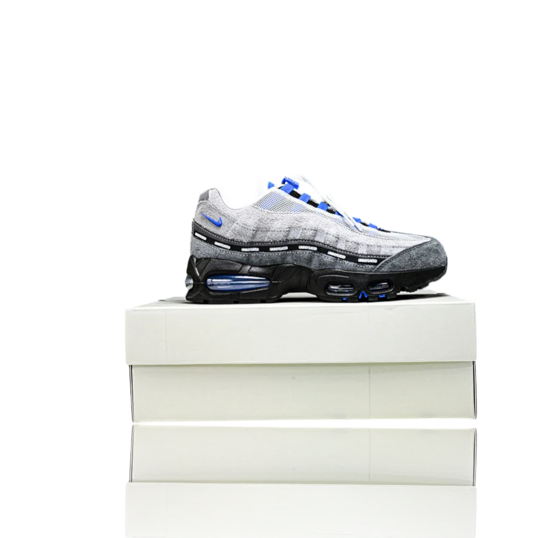 AM95 SP x Undefeated Geo 'Birmingham Concord'