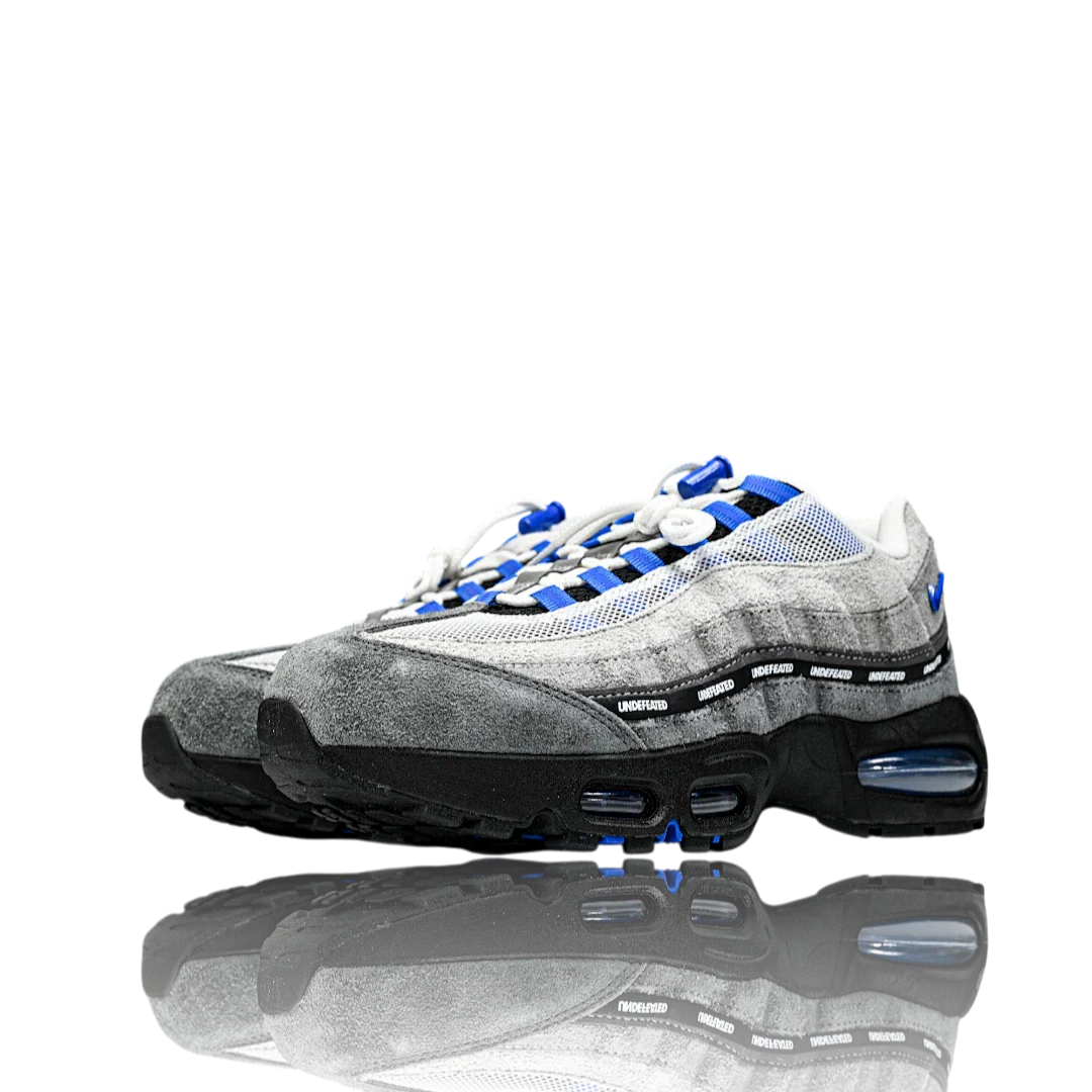 AM95 SP x Undefeated Geo 'Birmingham Concord'