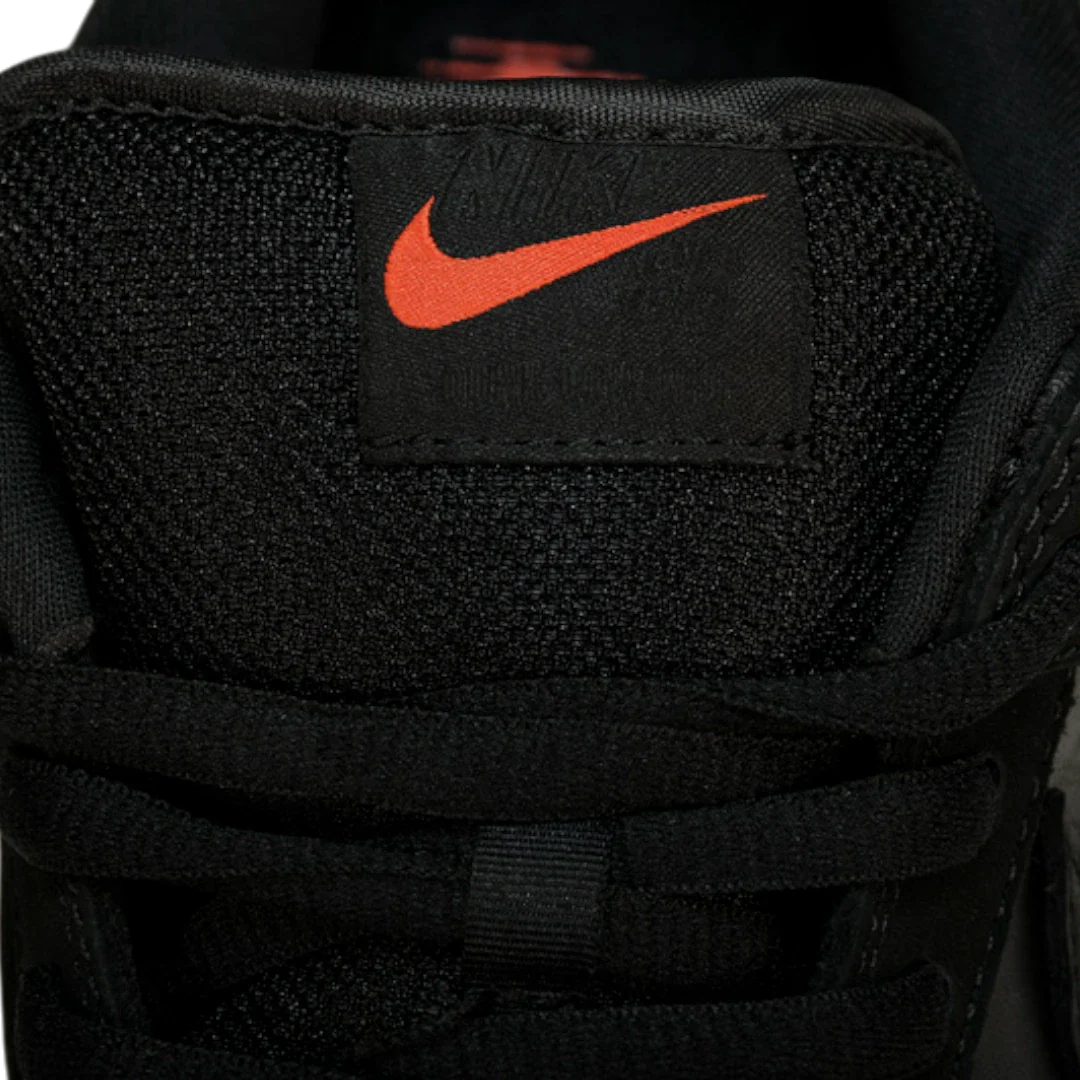 Jeff Staple x SB Dnk Low 'Black Pigeon'