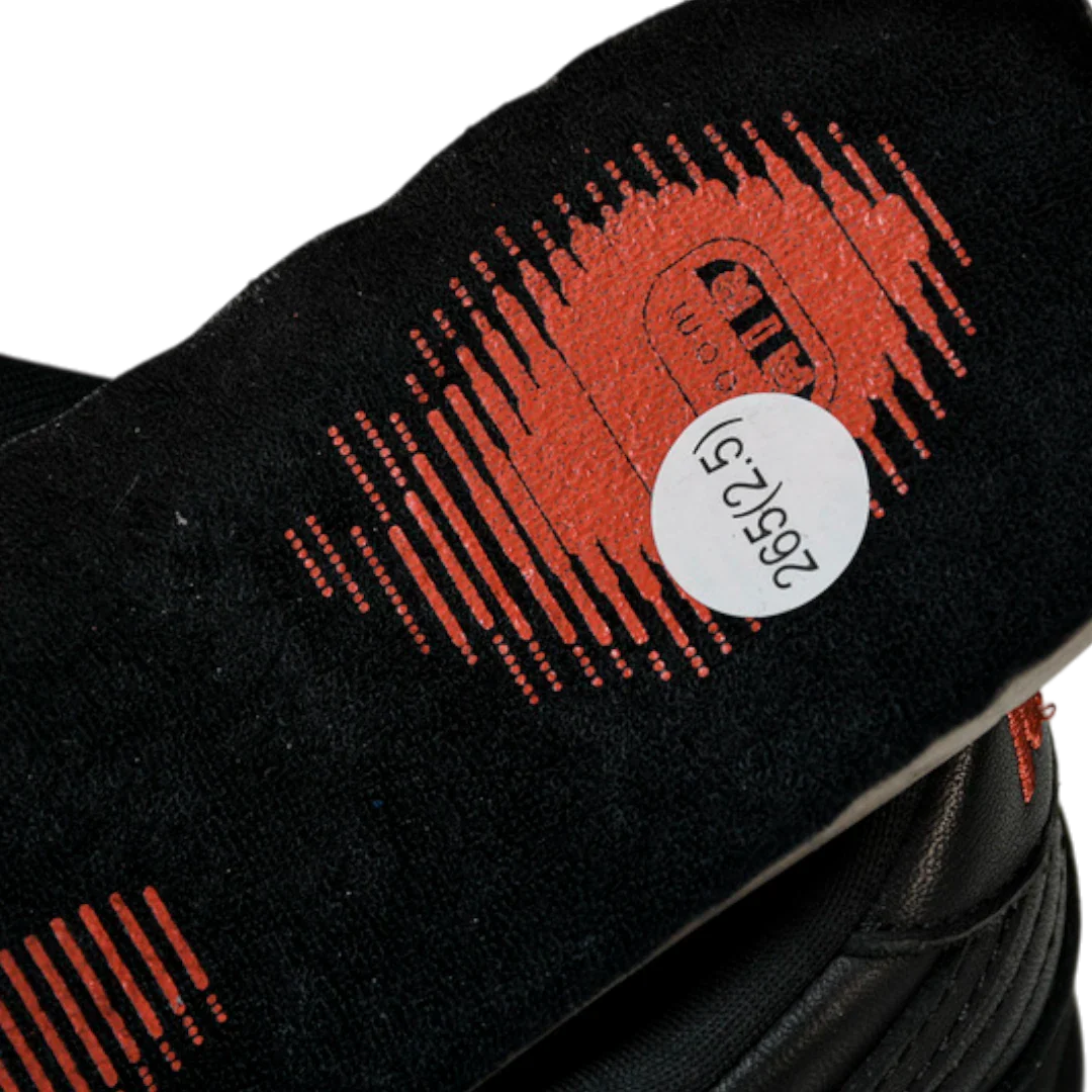 Jeff Staple x SB Dnk Low 'Black Pigeon'