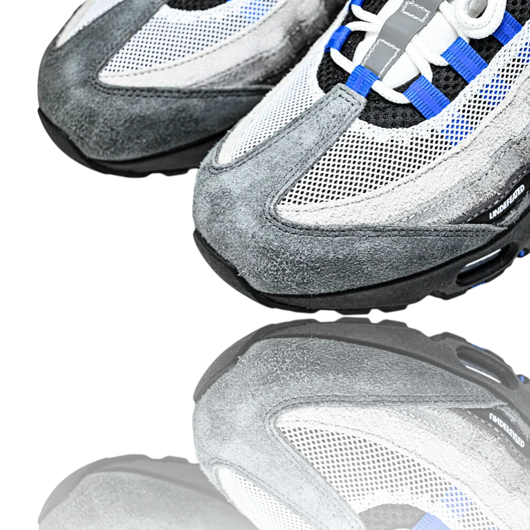 AM95 SP x Undefeated Geo 'Birmingham Concord'
