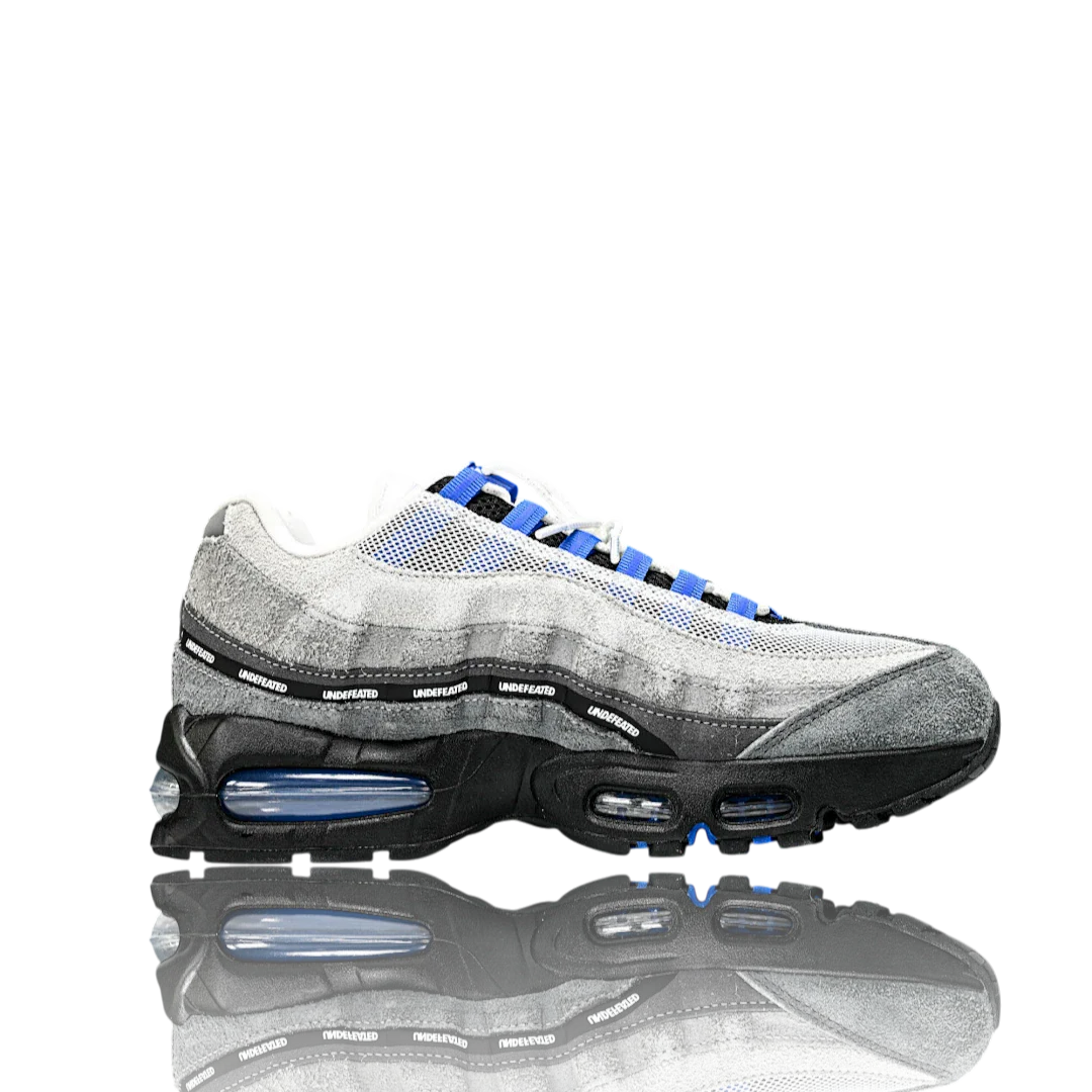 AM95 SP x Undefeated Geo 'Birmingham Concord'
